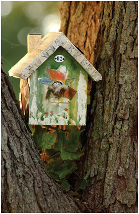 birdhouse_web2